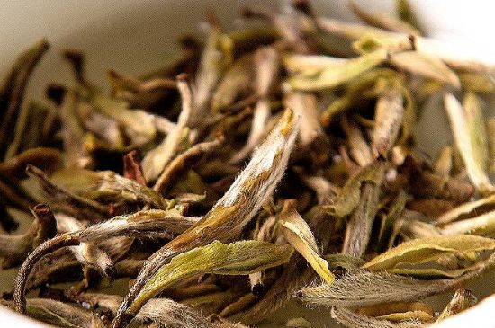 荒野銀針市場(chǎng)價(jià)多少，真正的荒野白毫銀針多少錢？