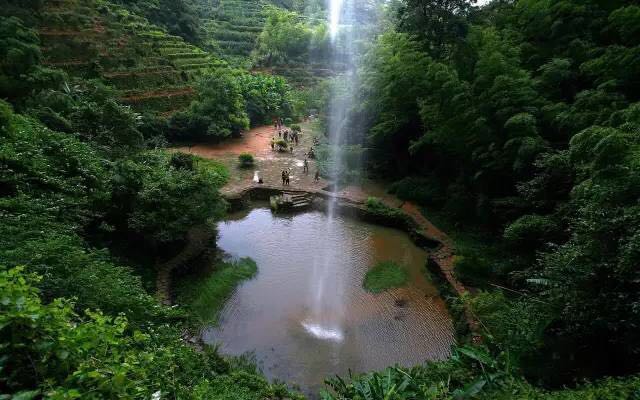 武夷山為什么盛產(chǎn)茶葉，武夷山茶為什么好喝？
