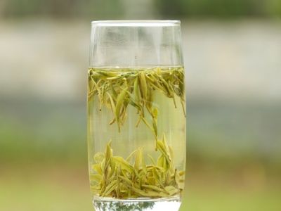 霍山黃芽算是好茶嗎，霍山黃芽屬于什么茶？