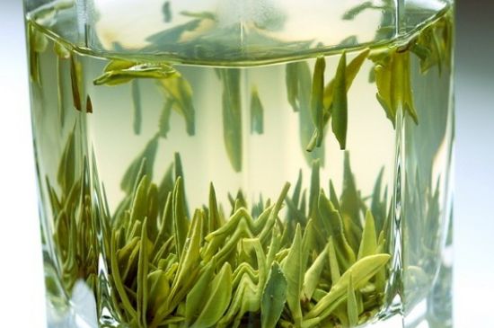 竹葉青和雀舌哪個貴，竹葉青茶貴嗎？