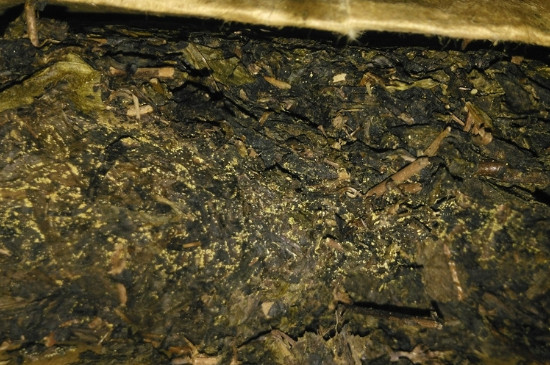 黑茶茯茶保存五大忌，茯茶收藏的注意事項(xiàng)