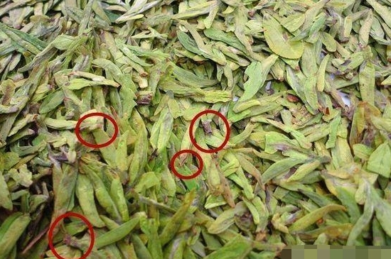烏牛早和龍井的區(qū)別圖片，龍井43號(hào)和烏牛早茶的對(duì)比