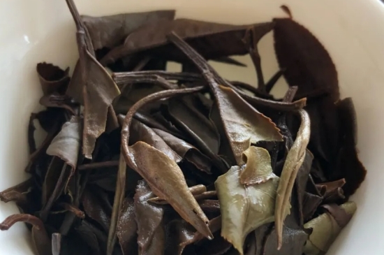 老白茶上火還是去火？夏季喝煮的老白茶會容易上火！