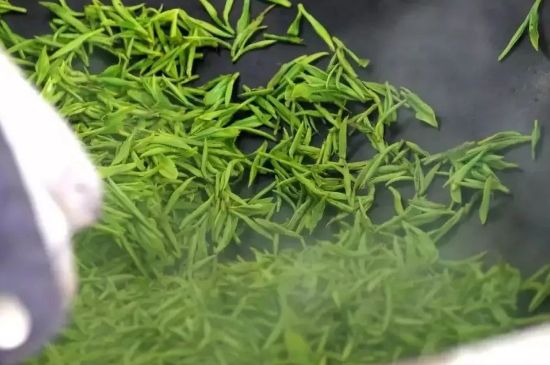 碧螺春為什么泡水渾濁，碧螺春茶葉泡水感覺很臟是混濁的