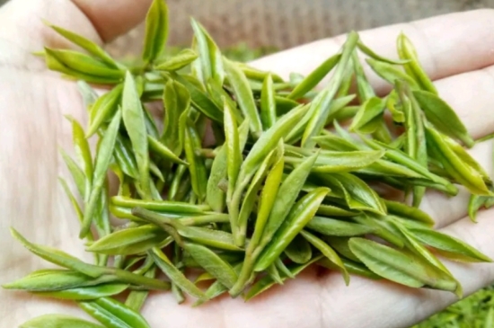 什么是雪前龍井茶，明前、雨前、雨后龍井有什么區(qū)別？