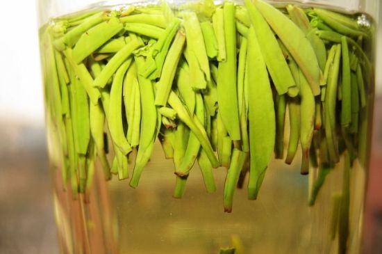 雀舌為何喝著是苦的，雀舌味道怎么那么苦澀？